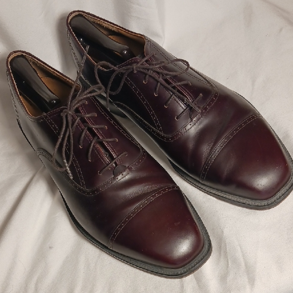 Rockport Dark Brown Captoe Dress Shoes with Shoe Trees/Stretchers
